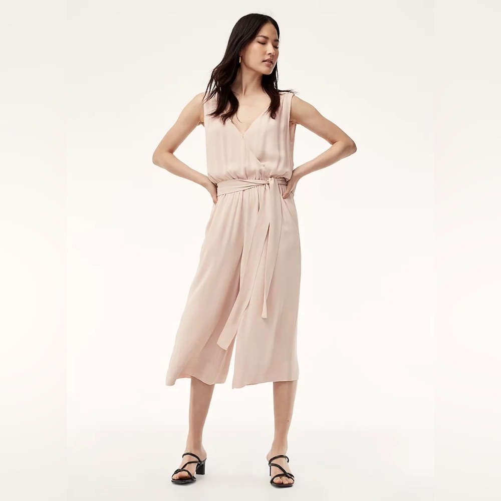 Aritzia Babaton Maximillian Jumpsuit